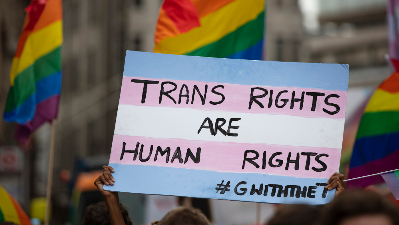 A racialised person holds up a sign in the trans flag colours reading 'Trans rights are human rights'. There are LGBTQ+ flags in the background 